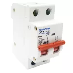 TERMICA CXTA - 2 POLOS - 4.5KA