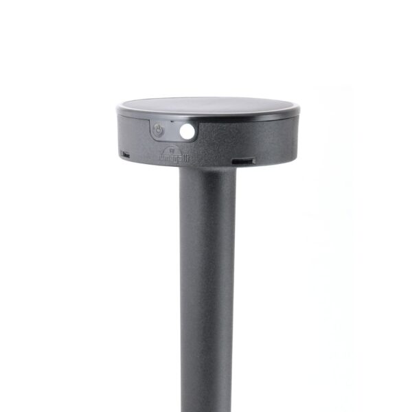 JABALINA SOLAR LED FIORINA 2W 560MM NEGRO